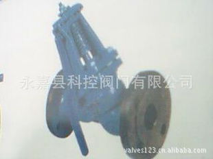 排污閥供貨清單（第37頁） 結構與性能概覽